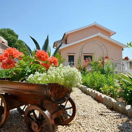 Zinka Vodice