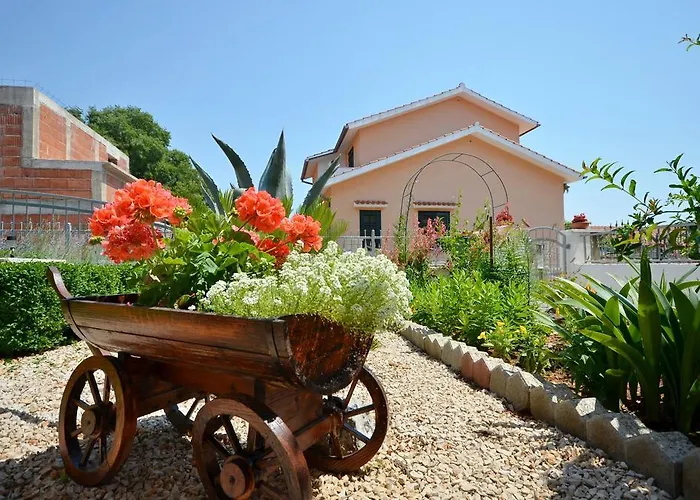 And Zinka ヴォディツェ